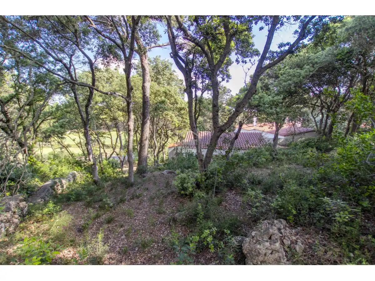 Casa rústica con piscina en venta en Es Mercadal poble, imagen 44
