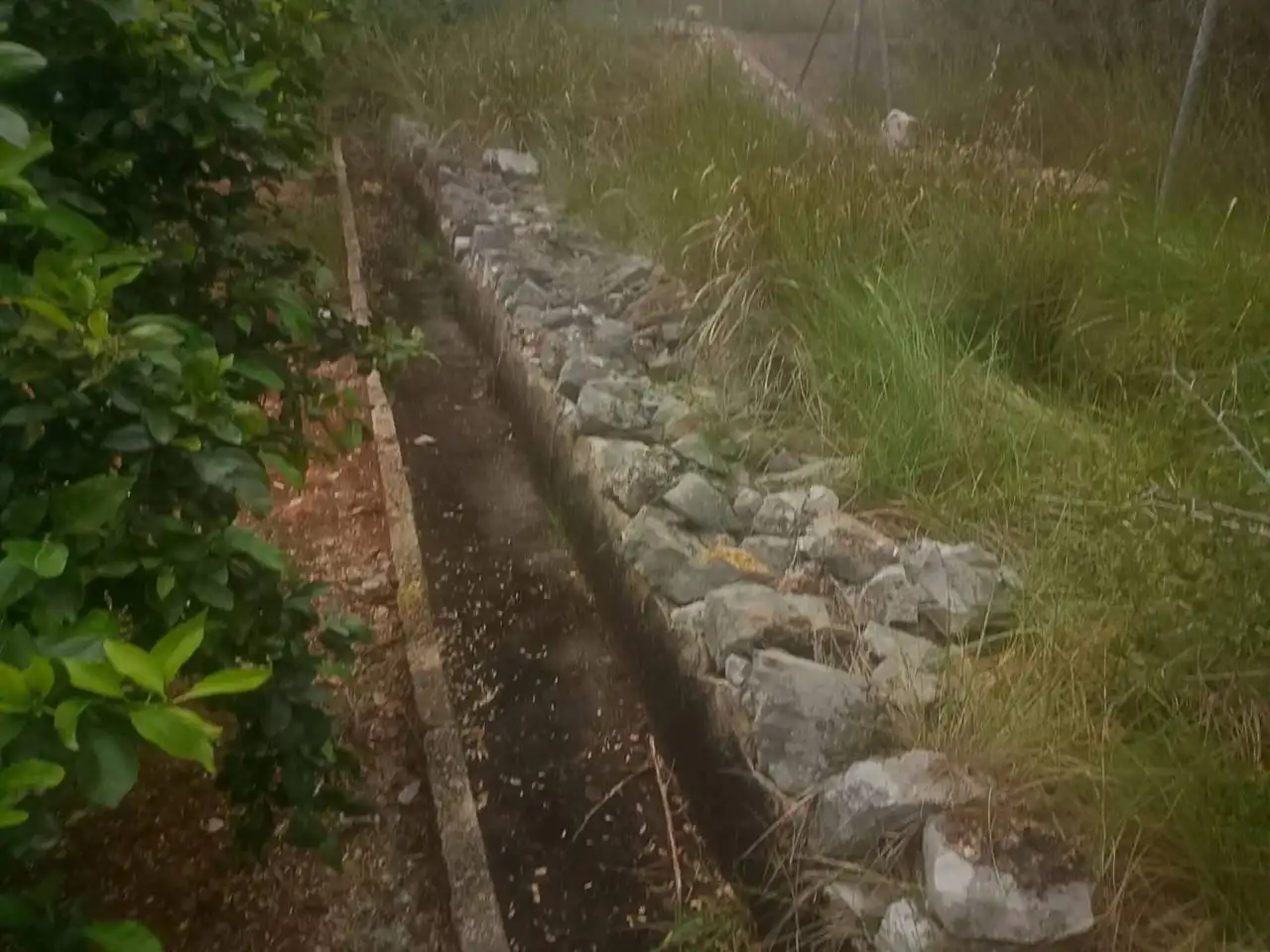 Terrain rustique à vendre à Calle Cami Rural Rotova, imagen 24