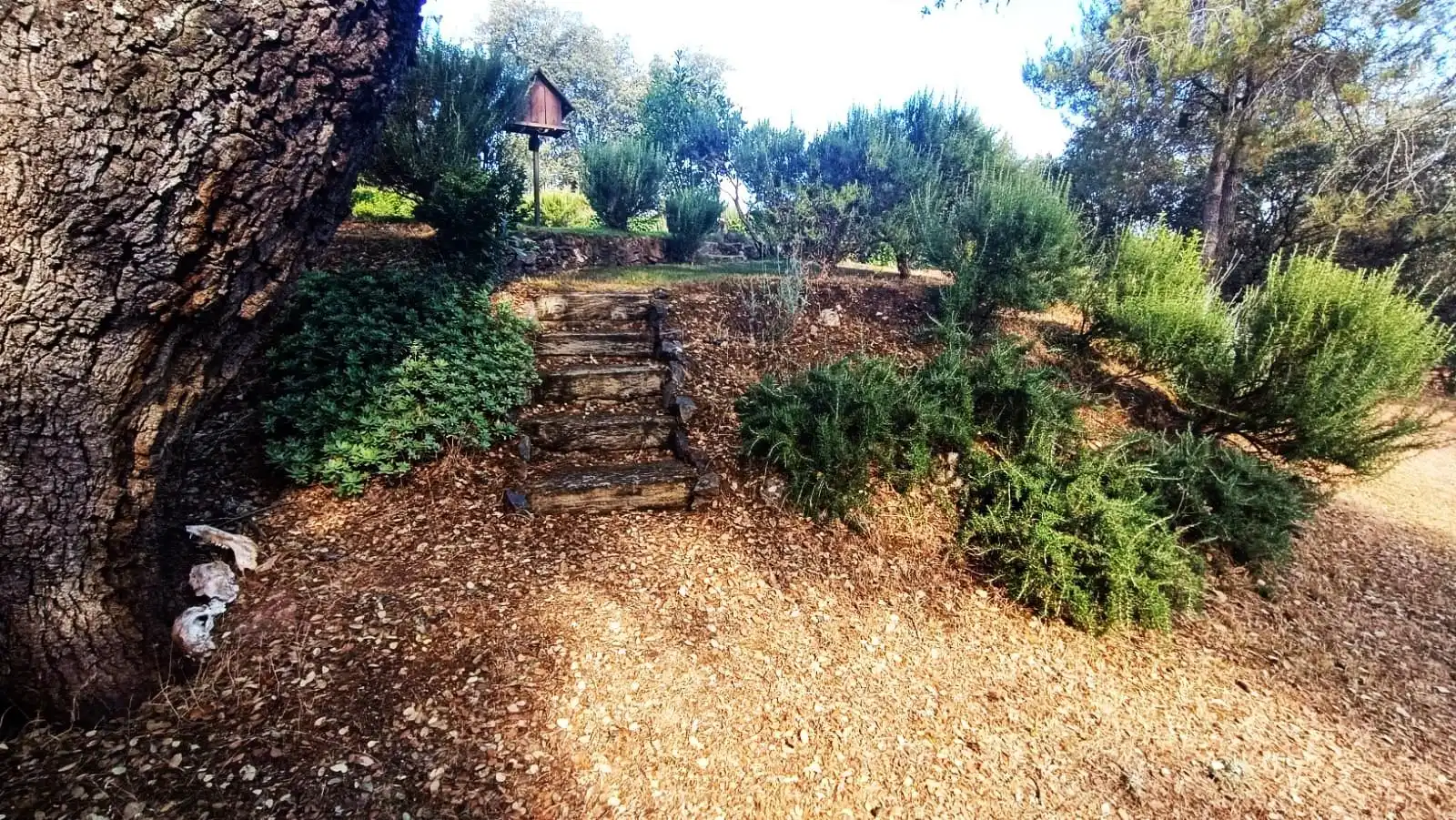 Jardí de Casa o xalet en venda en Palacios del Pan amb Calefacció, Jardí privat i Terrassa