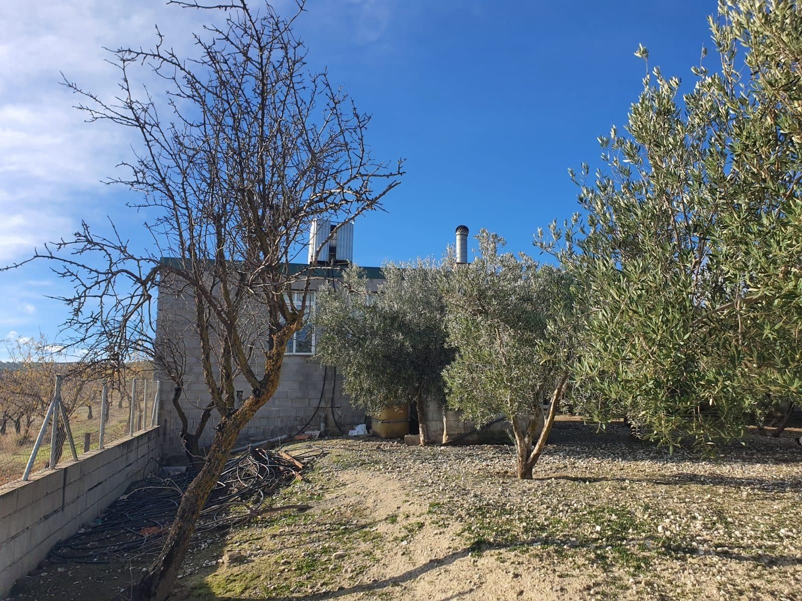 Vista exterior de Finca rústica en venta en Las Gabias