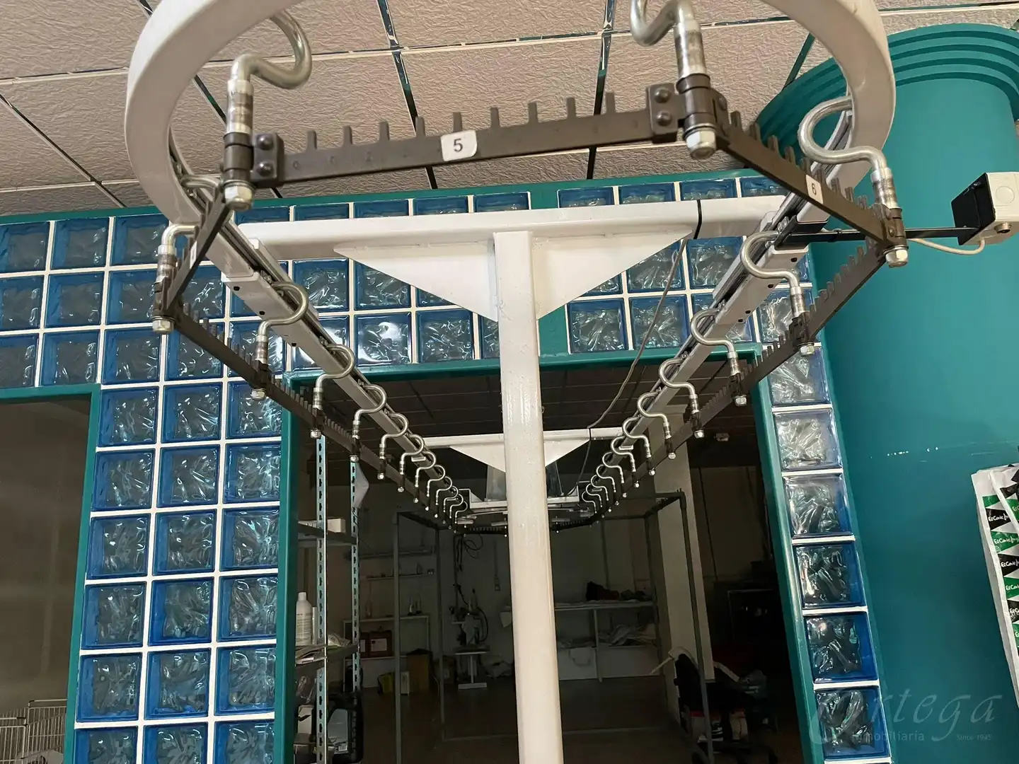 Local comercial en alquiler en Cehegín, imagen 3