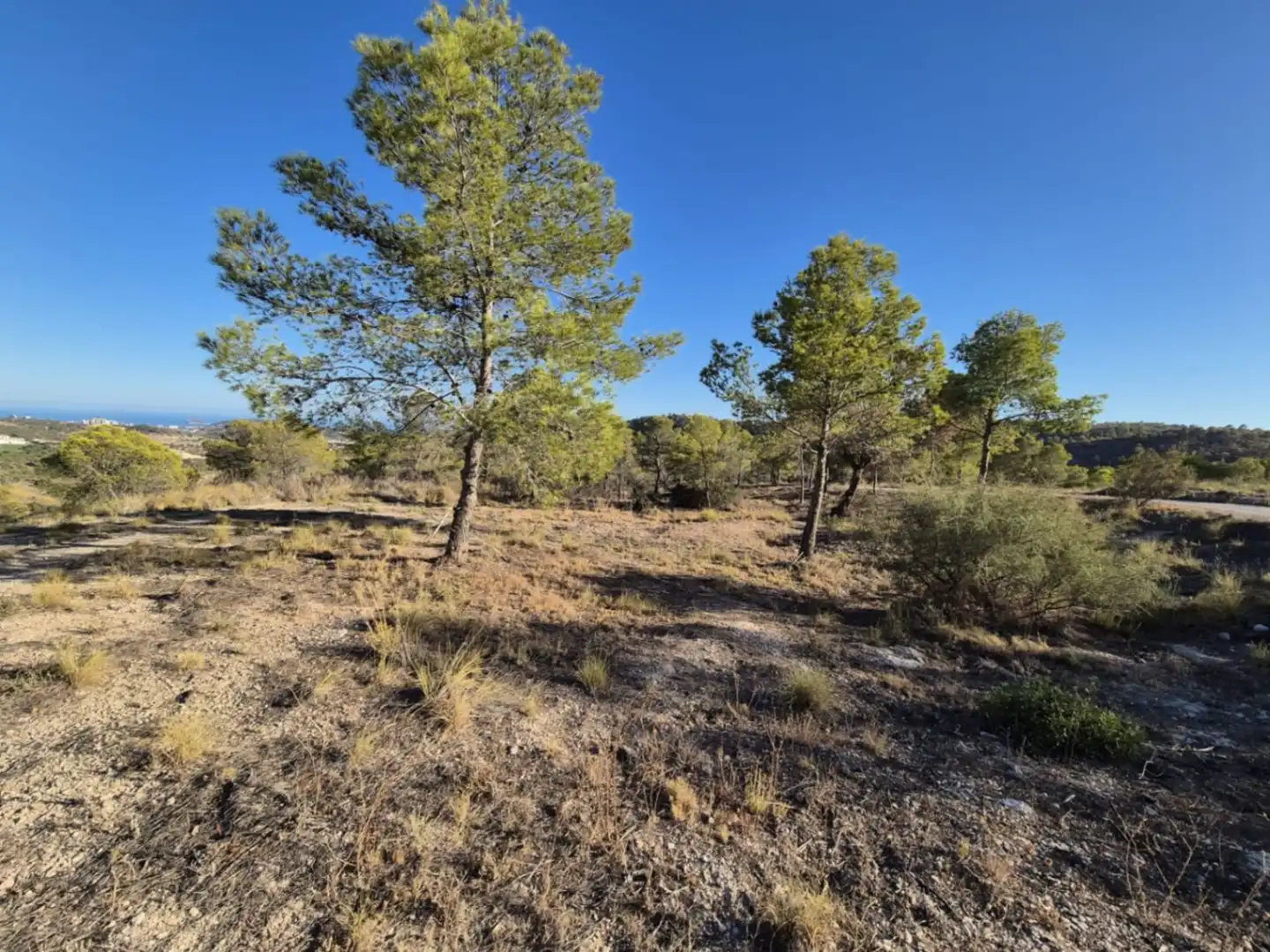 Terreni e lotti in vendita a El Secanet - Hacienda del Sol, imagen 3
