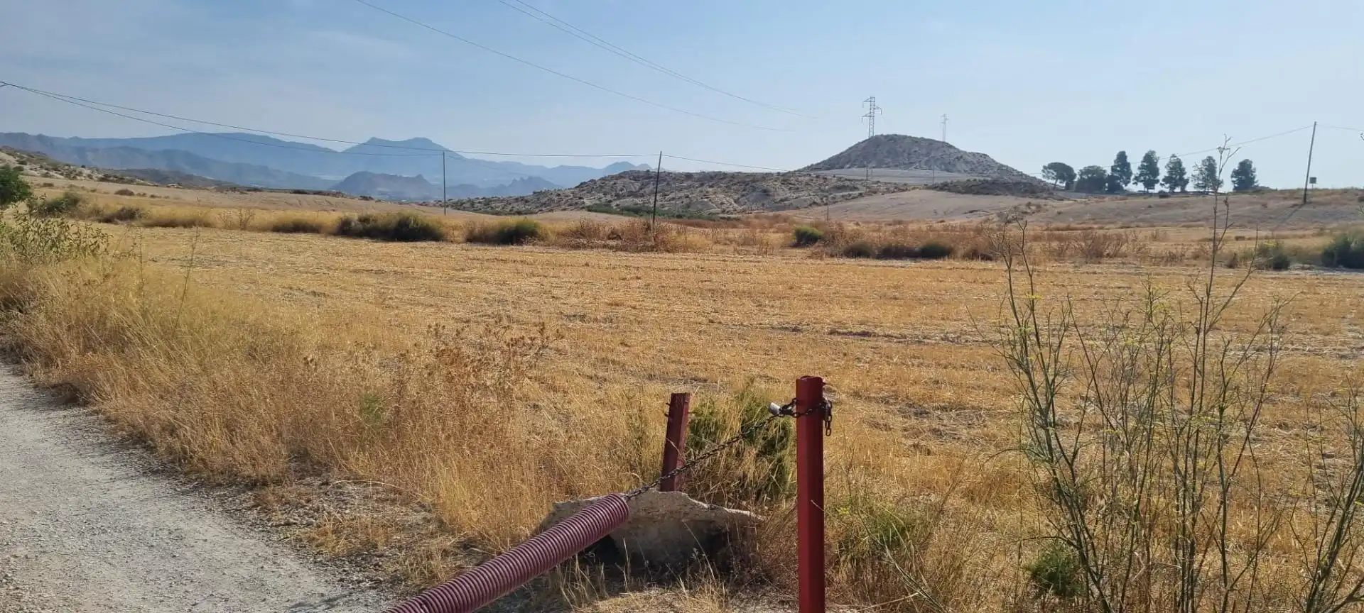 Lands and plots for sale in Mula, imagen 9