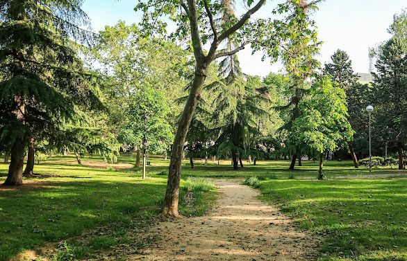 Jardí de Pis en venda en  Madrid Capital amb Aire condicionat, Terrassa i Forn