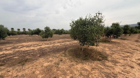 Foto 5 de Residencial en venda a Benissoda, Valencia