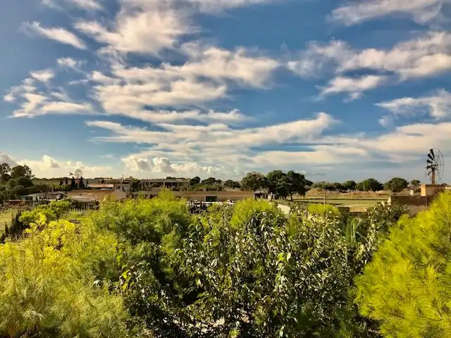 Casa rústica con terraza en venta en Llevant, imagen 25