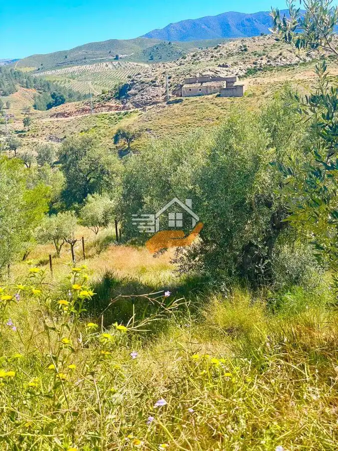 Casa rústica en venda a Vélez-Rubio, imagen 24