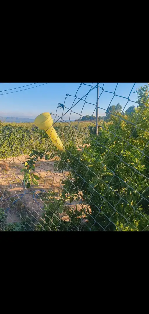 Chalet en venta en Móra d'Ebre, imagen 16