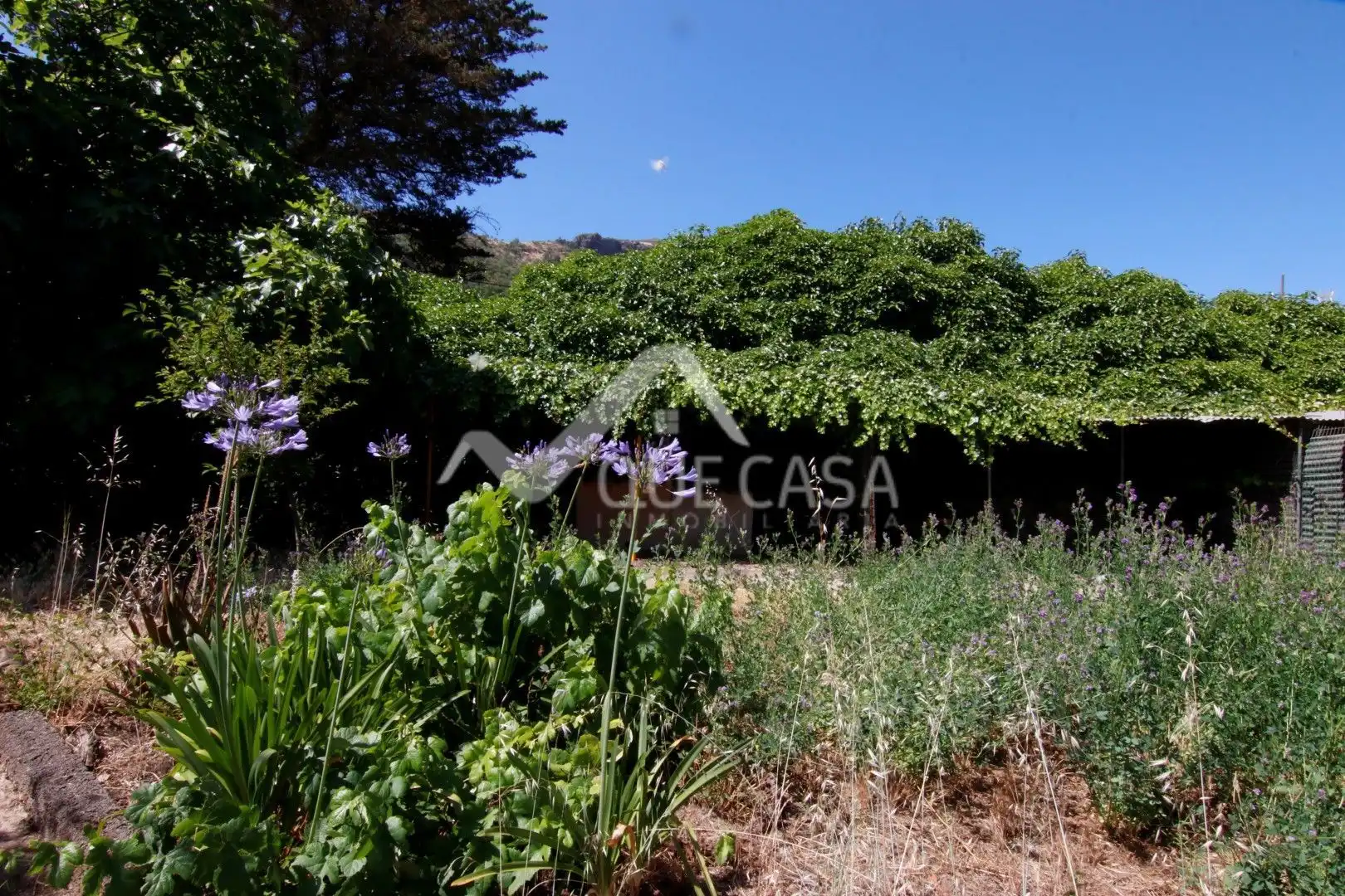 Jardín de Terreno en venta en Vega de San Mateo