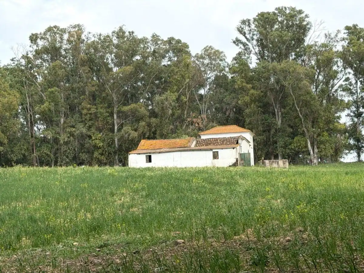 Vista exterior de Finca rústica en venta en Jimena de la Frontera con Terraza
