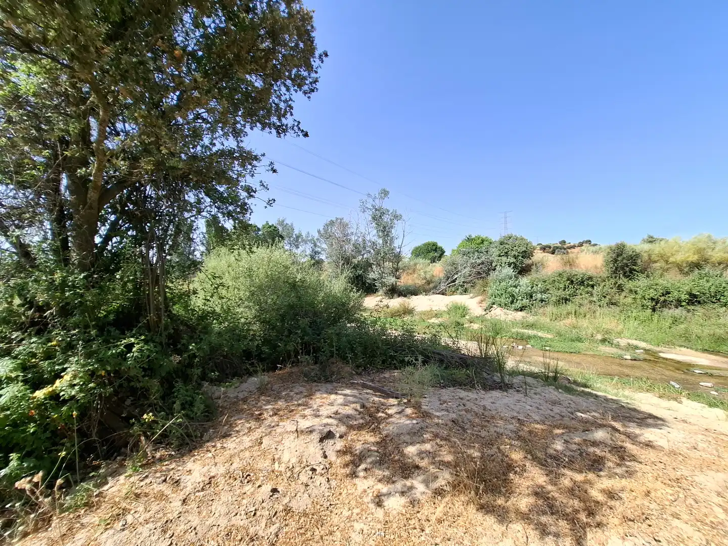 Rural land for sale in Colonia de la Estación, imagen 3