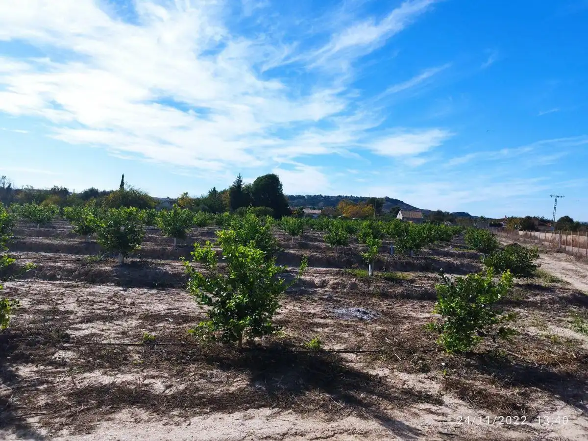 Terreny residencial en venda a El Llano, imagen 13