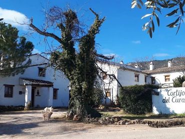 Casa rústica en venda a Segura de la Sierra