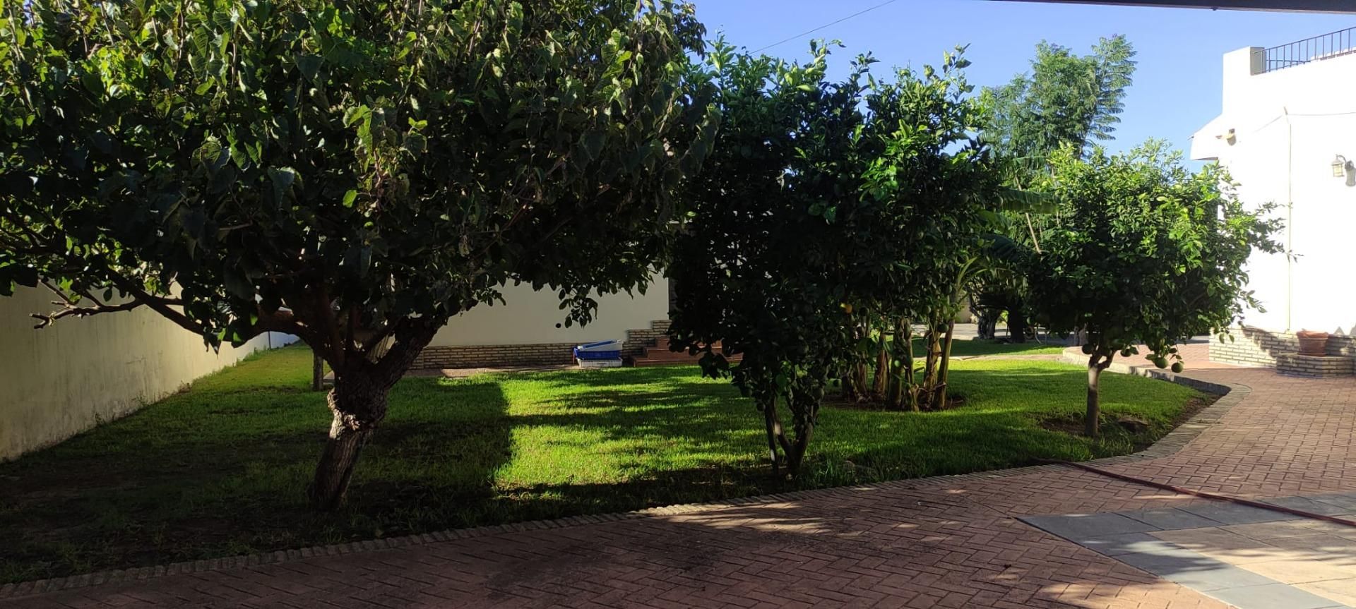 Garden of House or chalet for sale in Chiclana de la Frontera  with Air Conditioner, Private garden and Terrace
