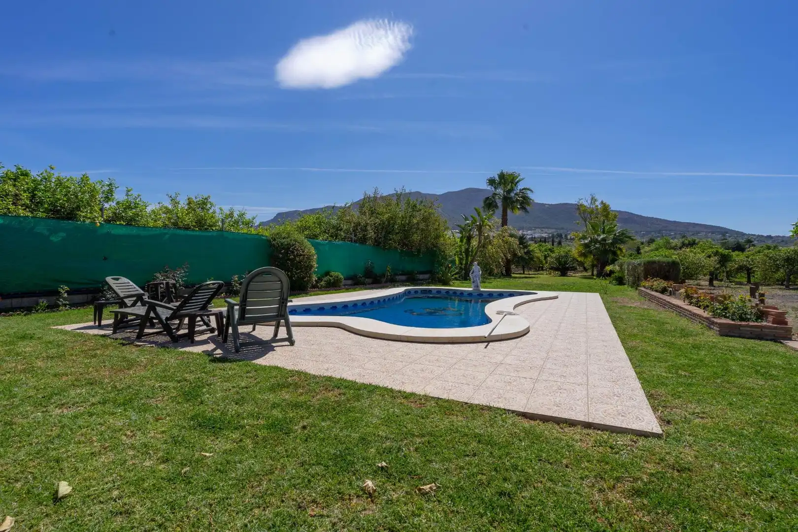 Chalet con piscina en venta en Centro, imagen 4