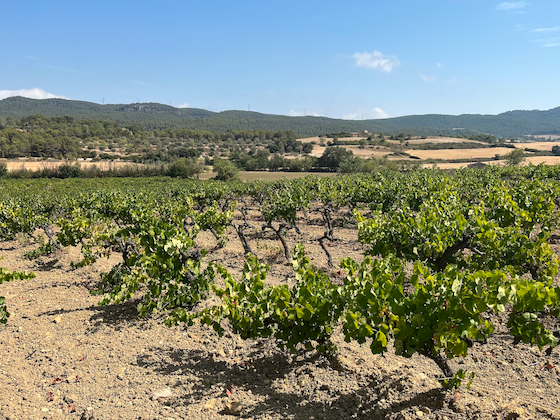 Vista exterior de Residencial en venta en La Llacuna