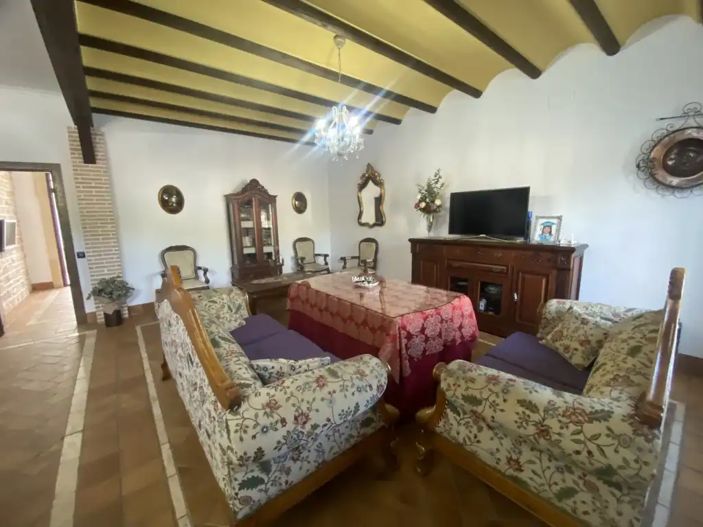 Sala de estar de Casa o chalet en venta en La Rambla con Terraza