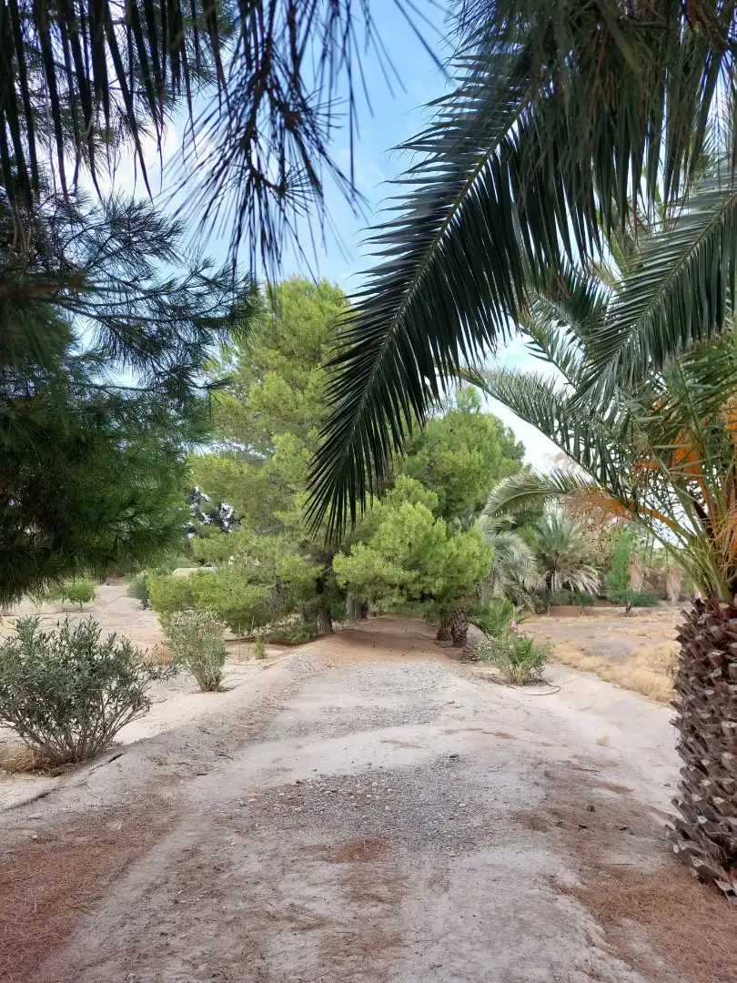 Garden of Country homes for sale in Partaloa