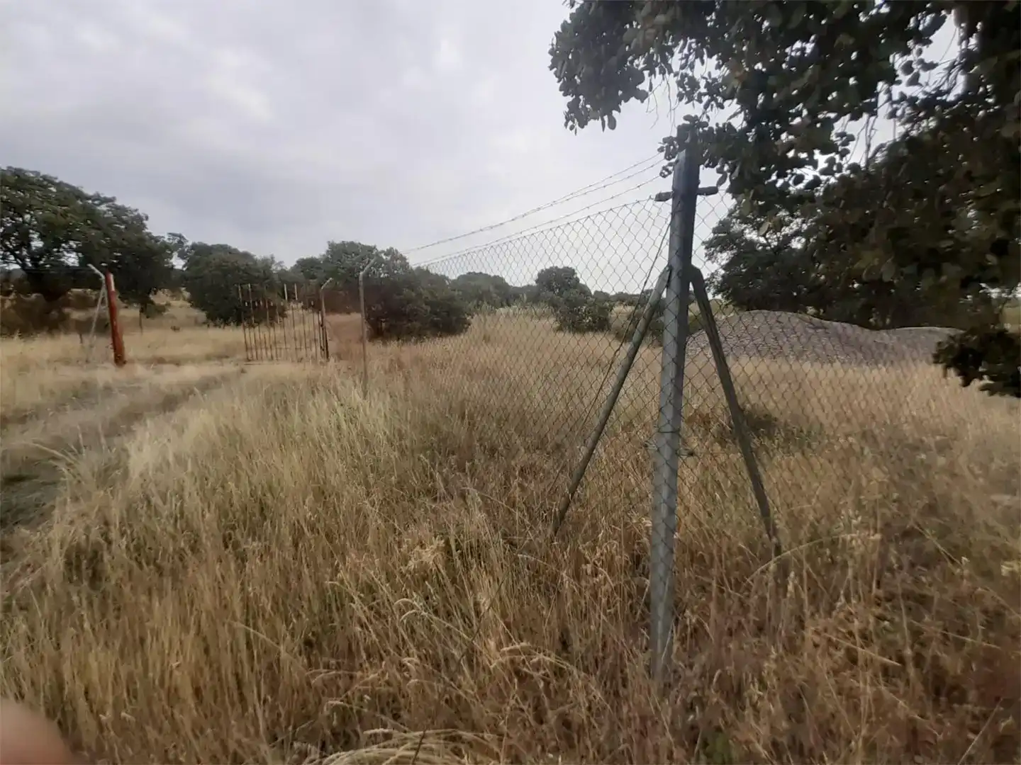 Terreno en venta en Brazatortas