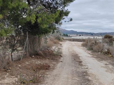 Terreny rústic en venda a Monforte del Cid