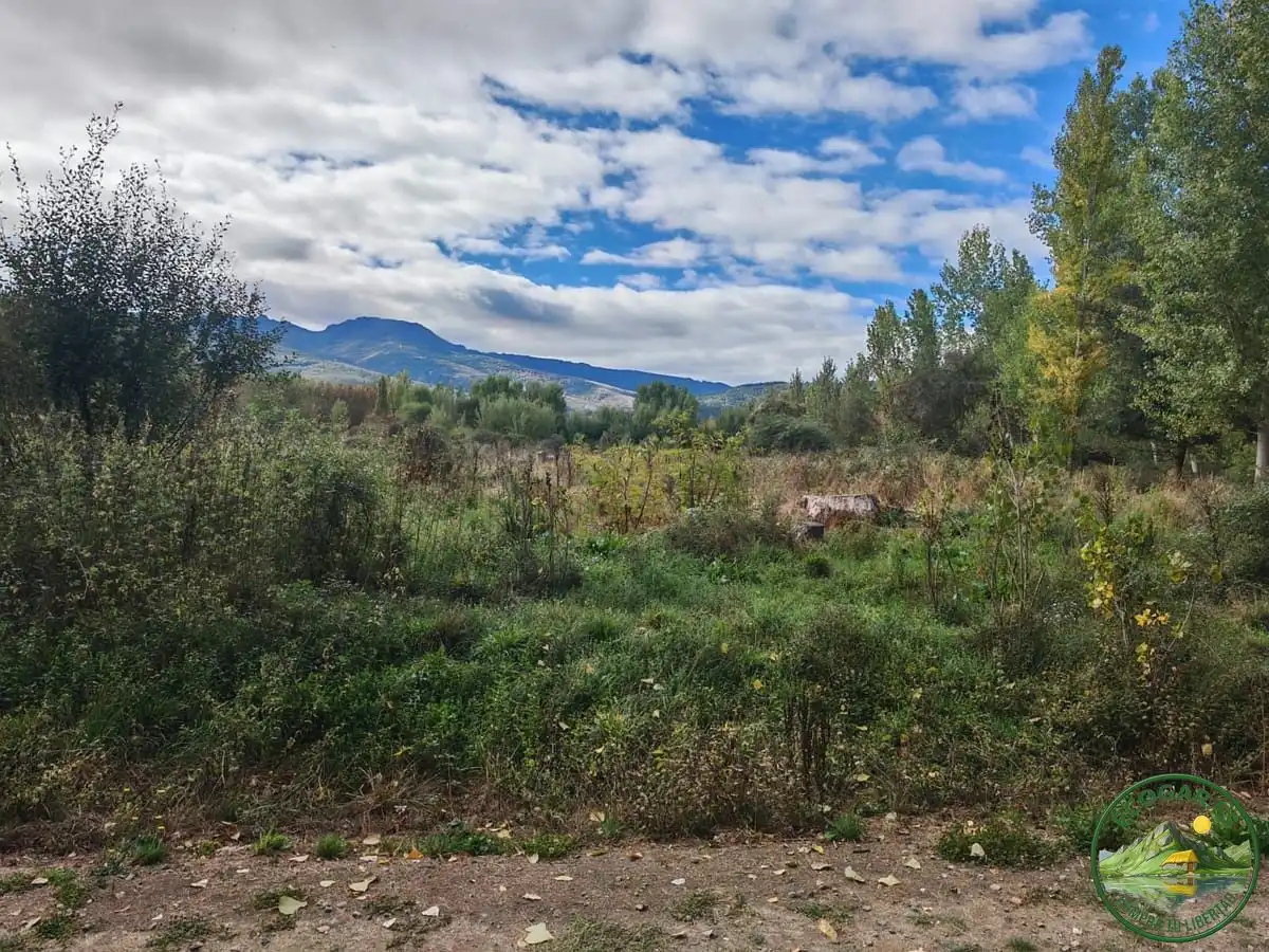 Finca rústica en venta en Ponferrada