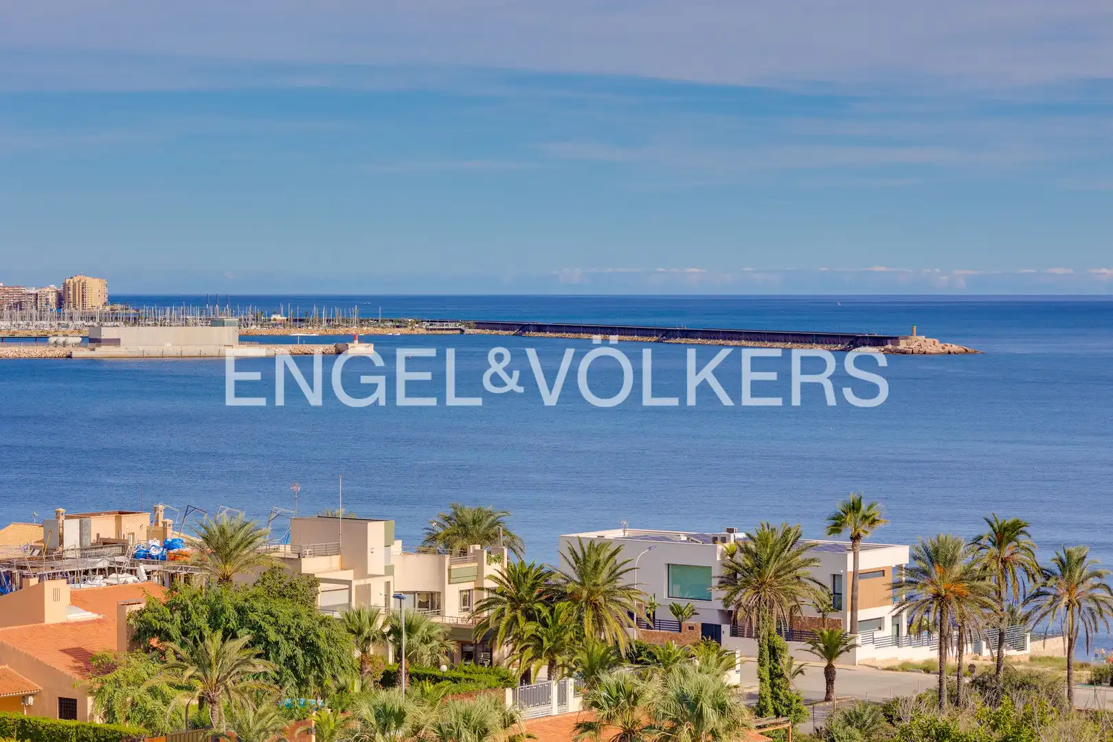 Vista exterior de Casa o chalet en venta en Torrevieja con Aire acondicionado, Calefacción y Jardín privado