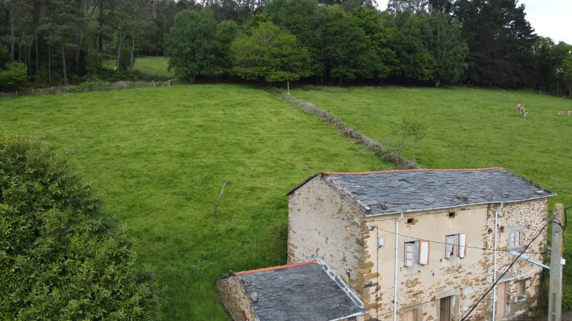 Casa o xalet en venda en Boal