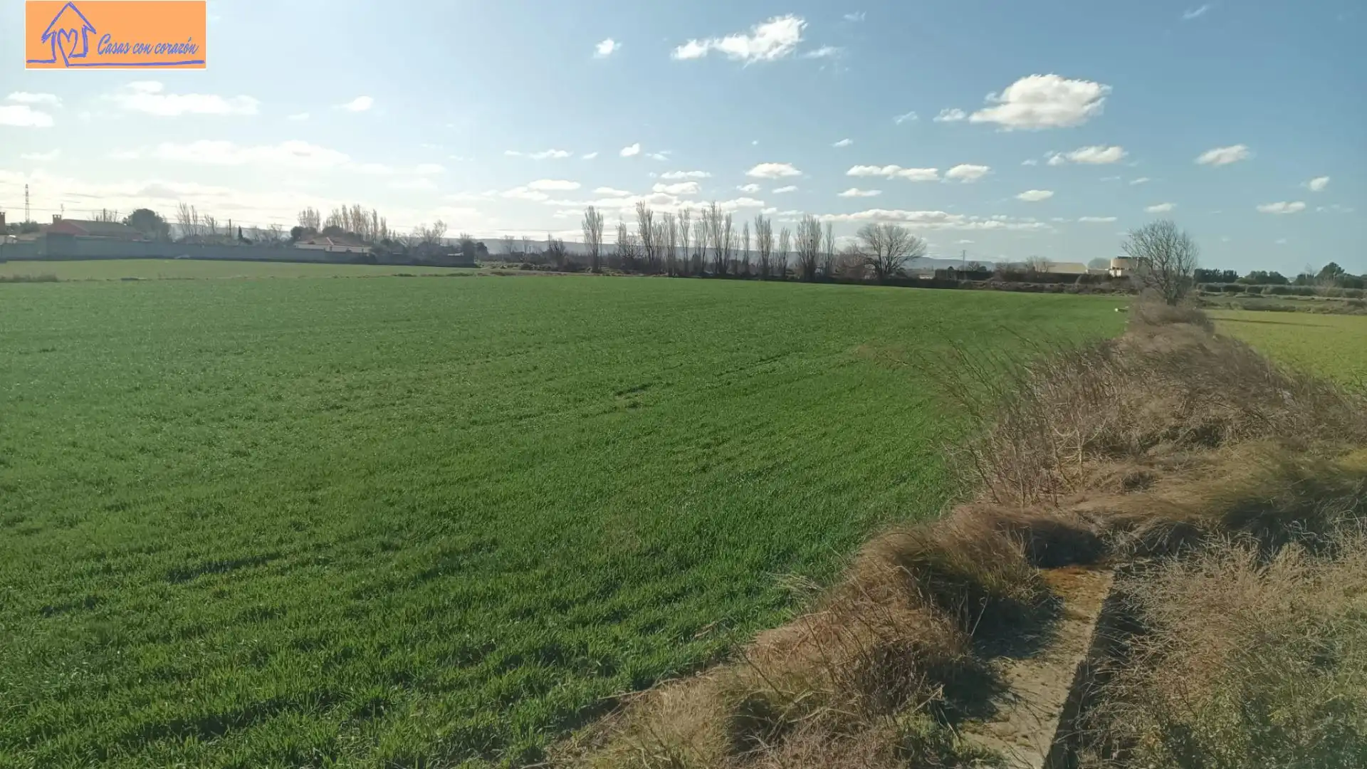 Terreno en venta en Pinseque