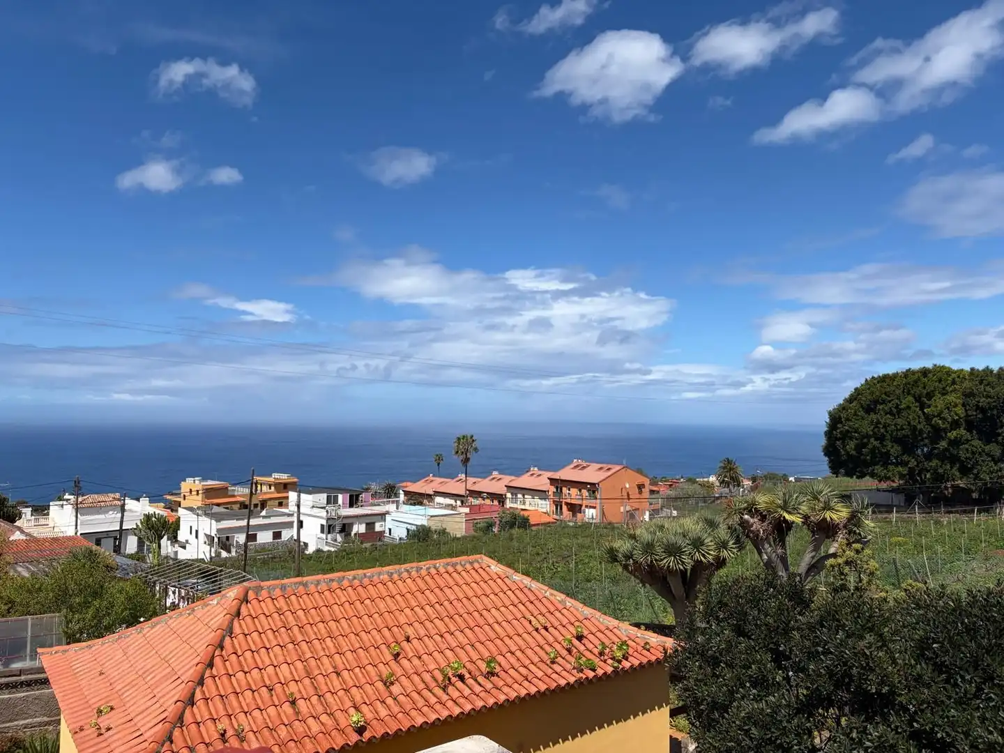Vista exterior de Casa o chalet en venta en Tacoronte