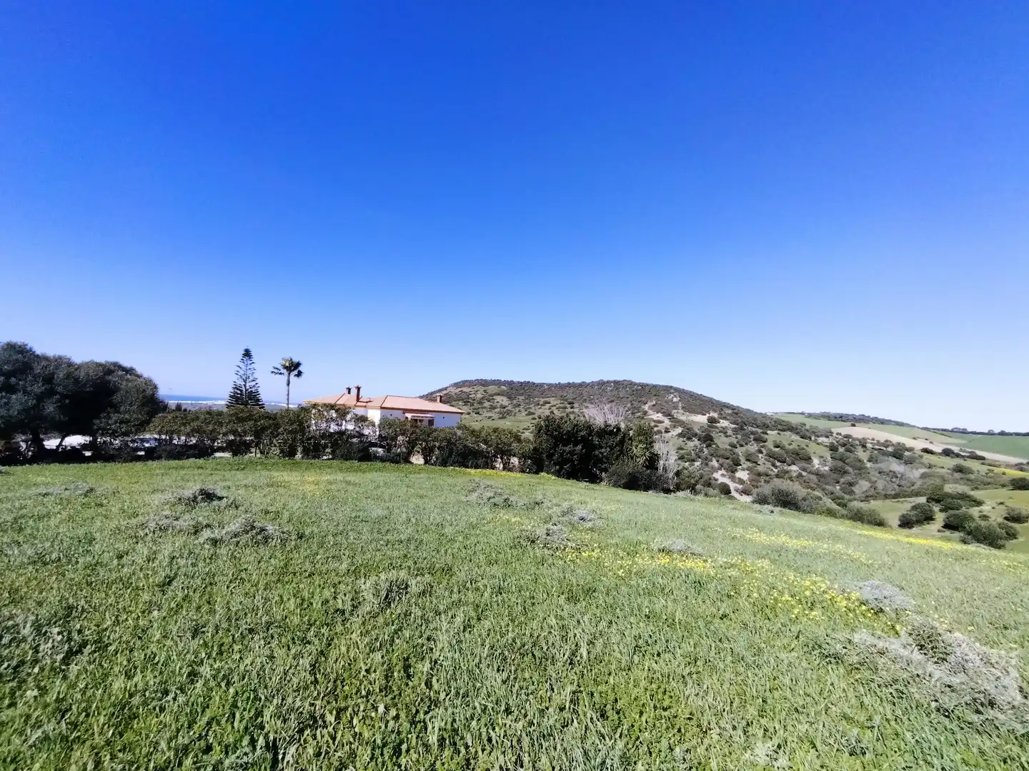 Terreni e lotti in vendita a Vejer, imagen 4