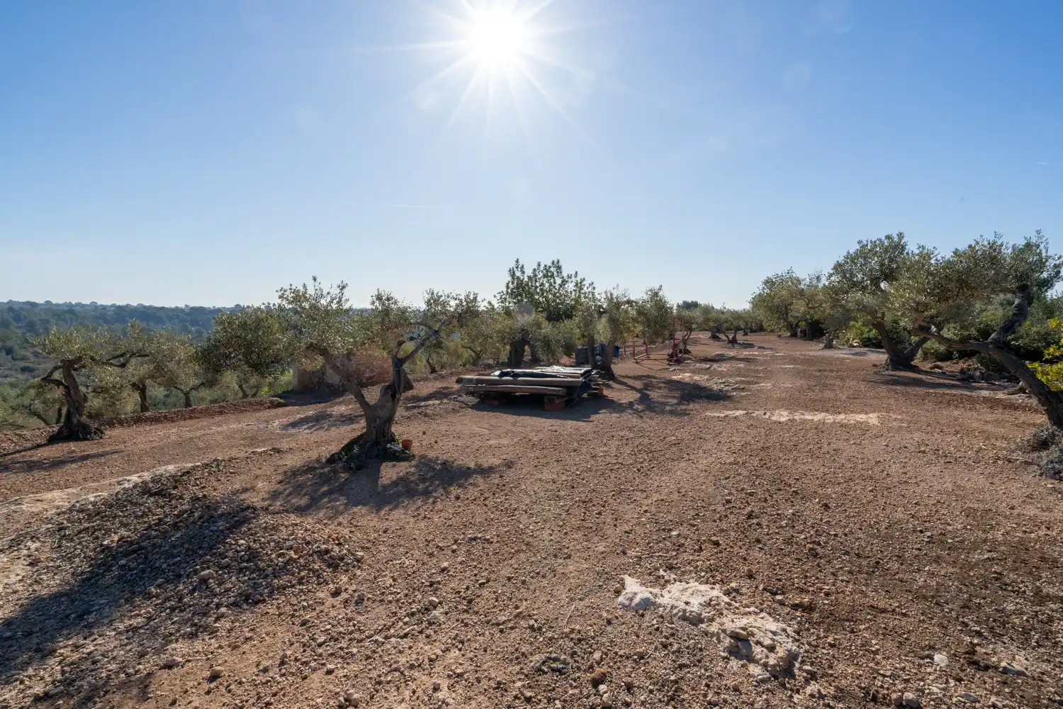 Landhaus mit Garten zum Verkauf in Camí del Ranxero 29, imagen 40