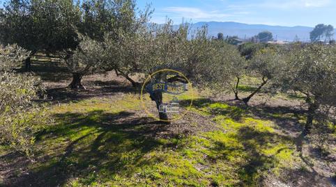 Photo 3 of House or chalet for sale in Sant Josep - Zona Hospital, Ontinyent