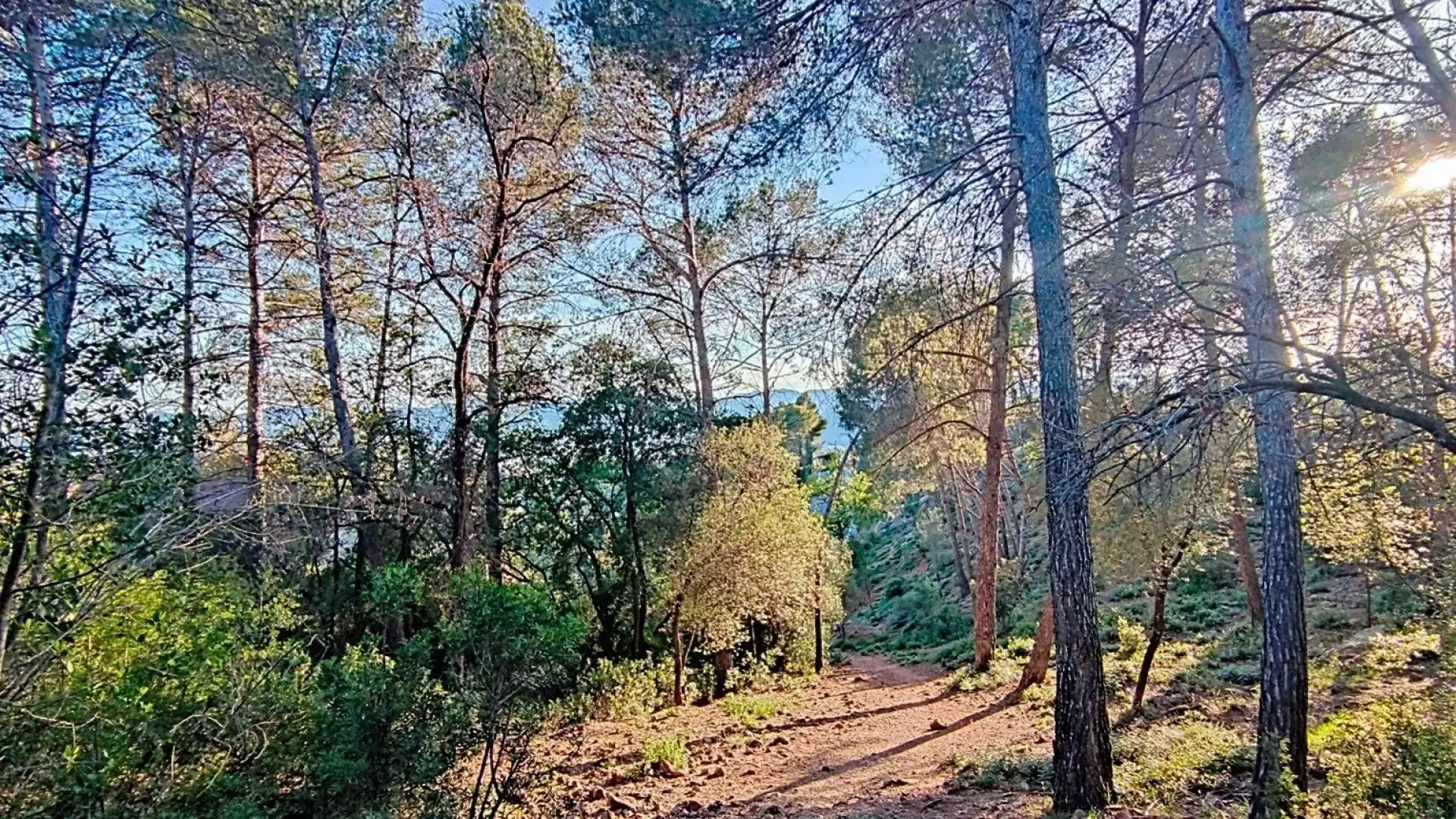 Terreno residencial en venta en Molins de Rei, imagen 8