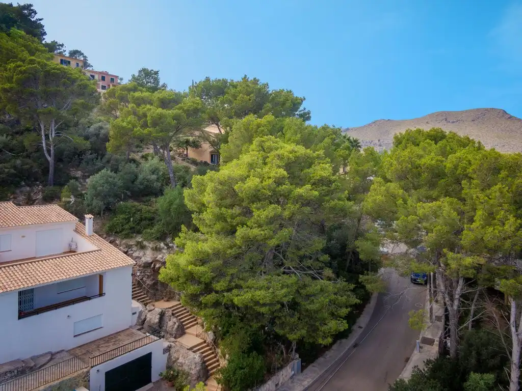 Terrain rustique à vendre à Pollença Poble, imagen 4