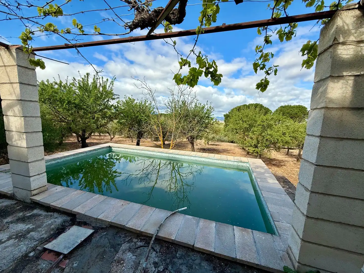 Schwimmbecken von Country house zum Verkauf in Biar mit Privatgarten, Abstellraum und Schwimmbad