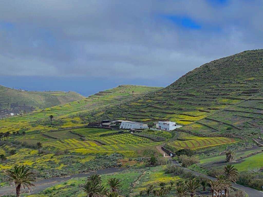 Exterior view of Land for sale in Haría