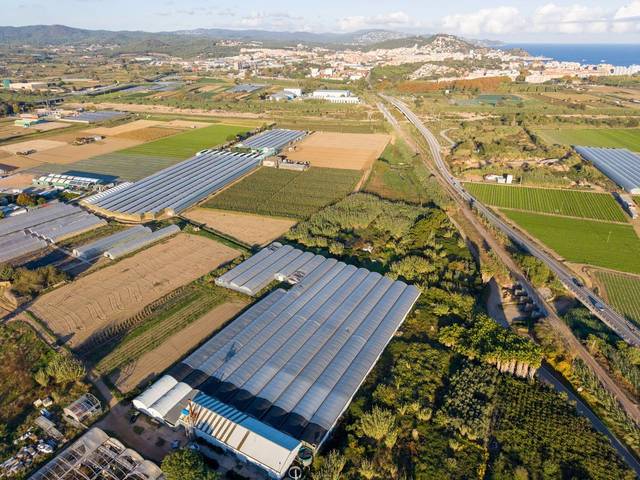 Nave industrial en Venta en  Carretera Malgrat en Palafolls