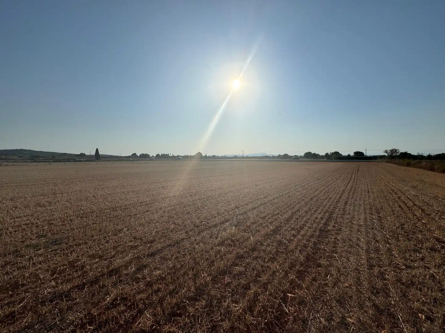 Rural land for sale in M14 Diseminado Primera Volta, imagen 3