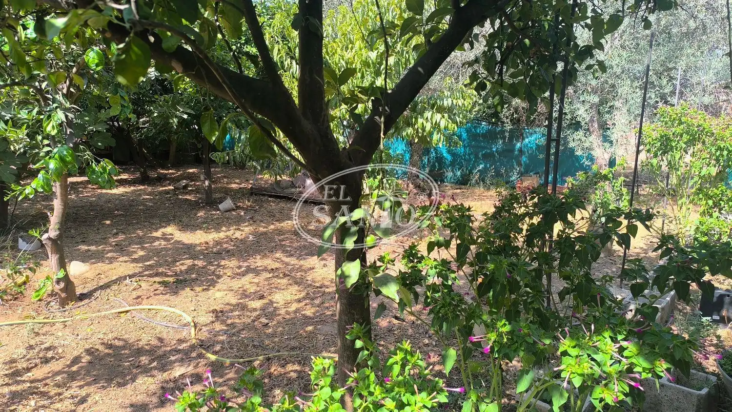 Villa con piscina in vendita a Periurbano Oeste - Sierra, imagen 21