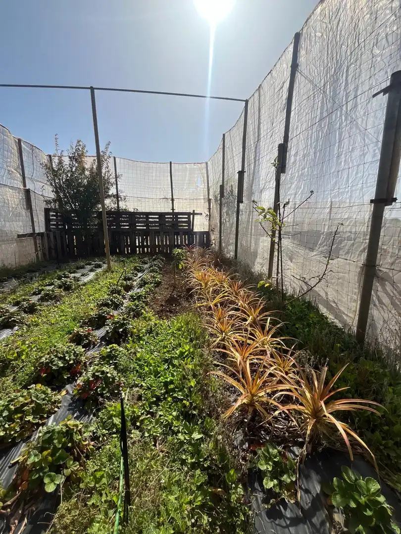 Jardín de Residencial en venta en El Pinar de El Hierro