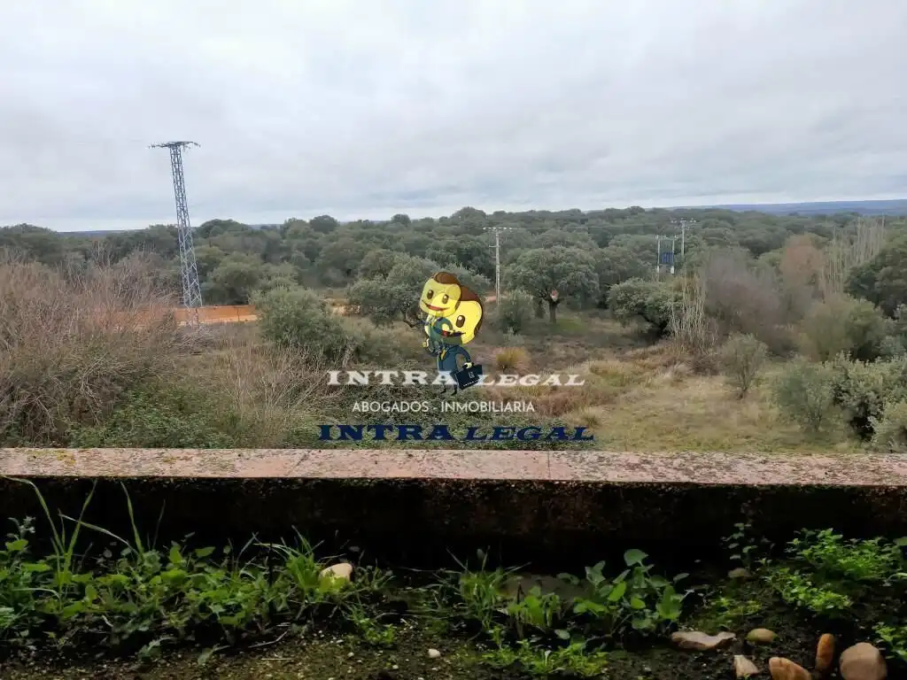 Pis en venda a CAMPO DE GOLF, Carrascal de Barregas