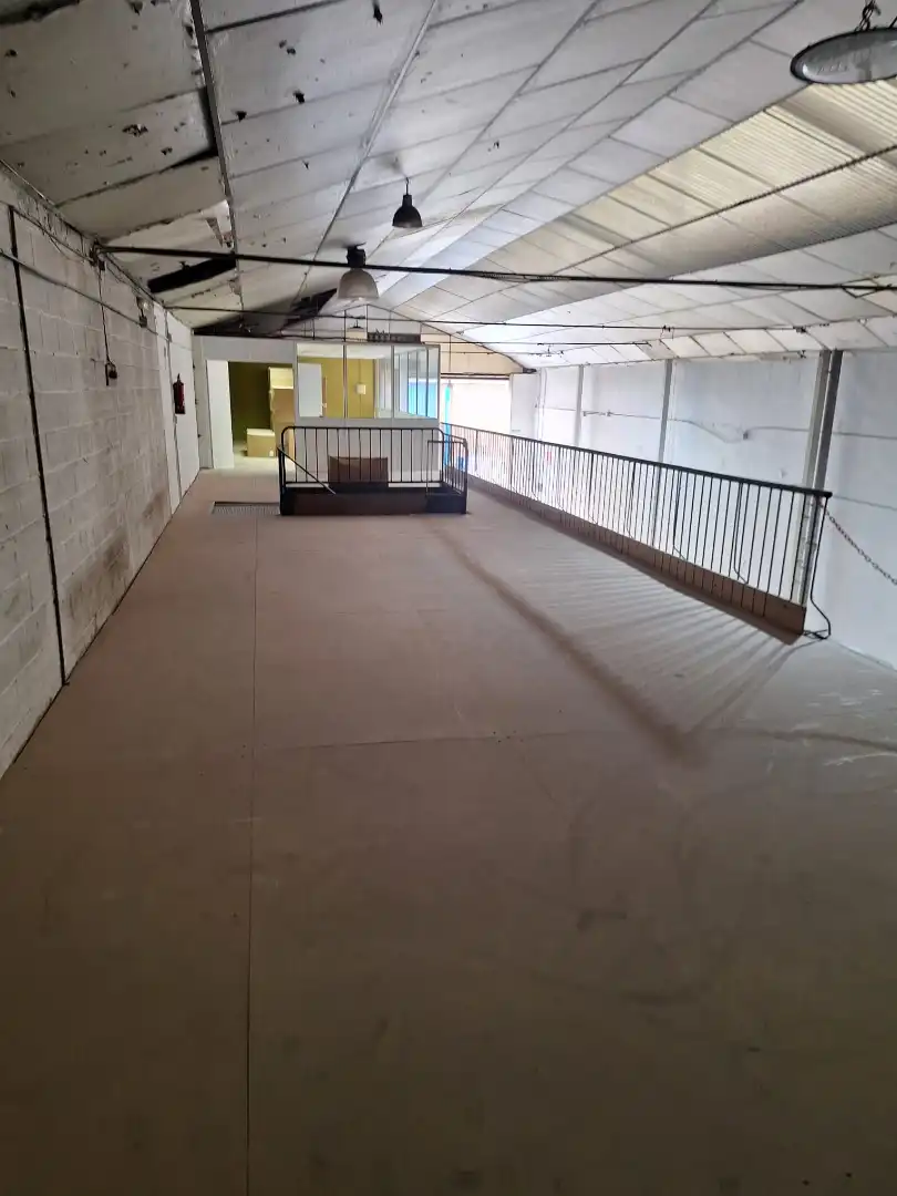 Nave industrial en alquiler en Calle Pino Alepo, imagen 9