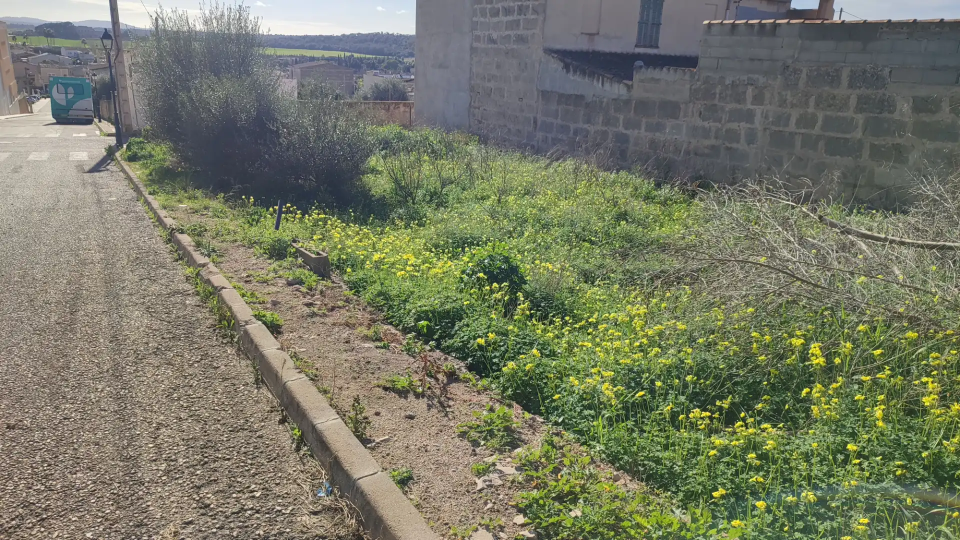 Terreny residencial en venda a Carrer d'es Mestre Bauçà 7, imagen 6