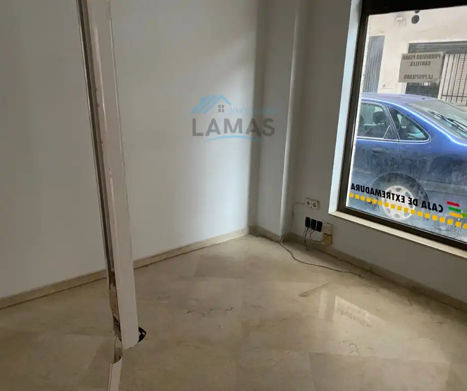 Local commercial à vendre à Avenida Constitución 15, imagen 5
