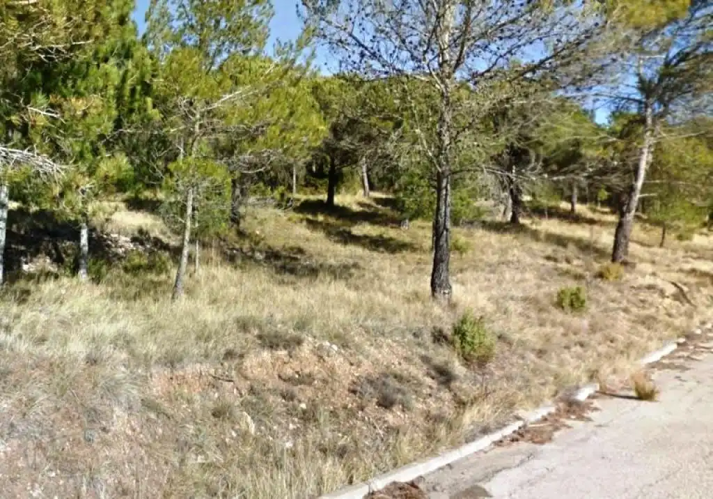 Rural land for sale in c/ catalunya, imagen 16