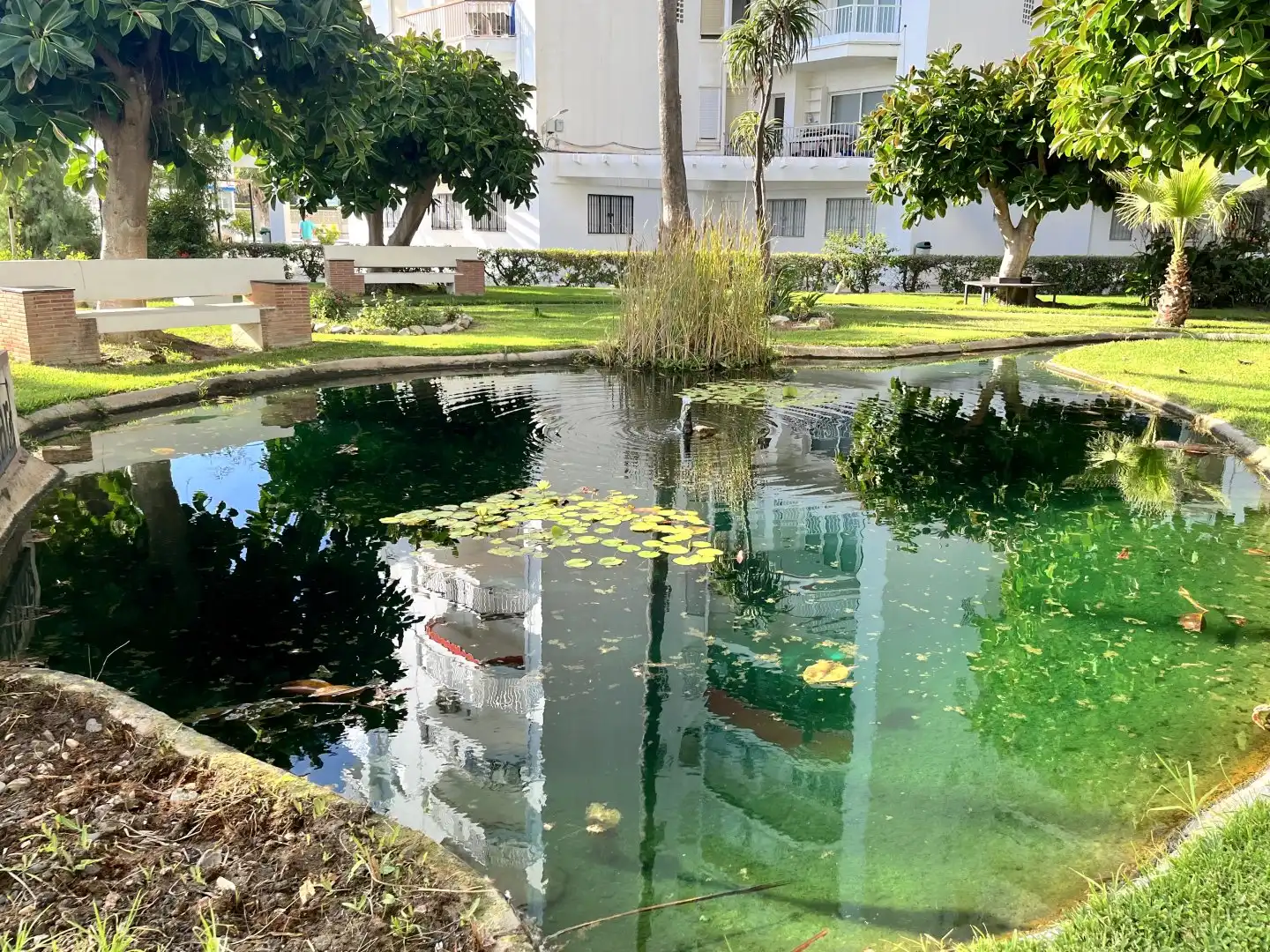 Vista exterior de Pis en venda en Salobreña amb Piscina, Moblat i Balcó