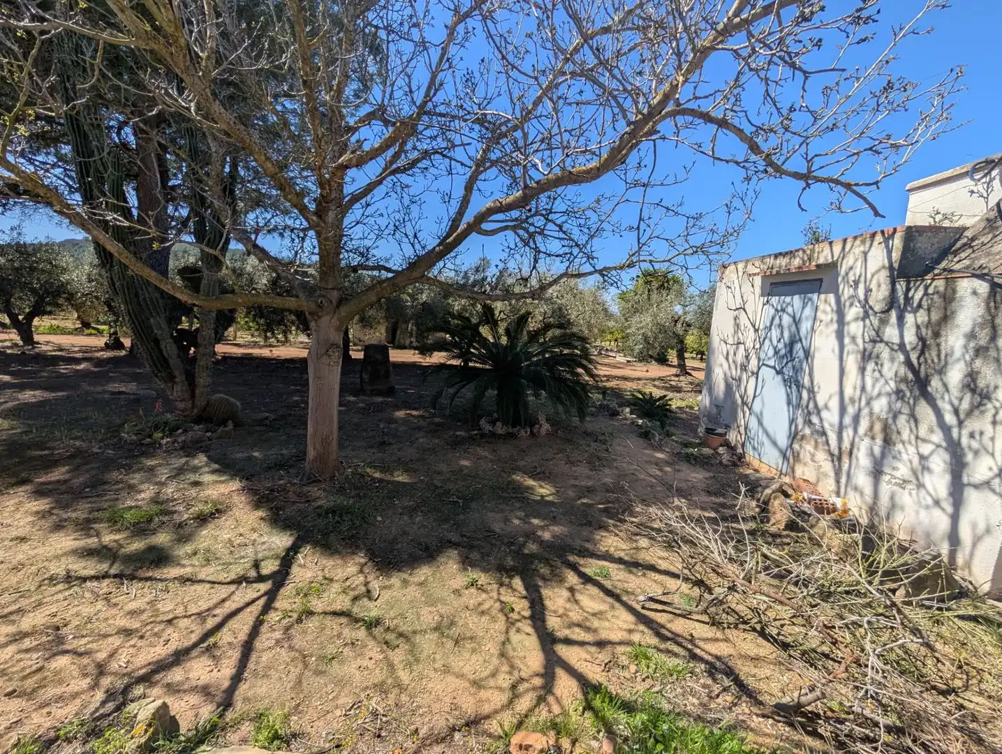 Grundstücke zum Verkauf in Ulldecona
