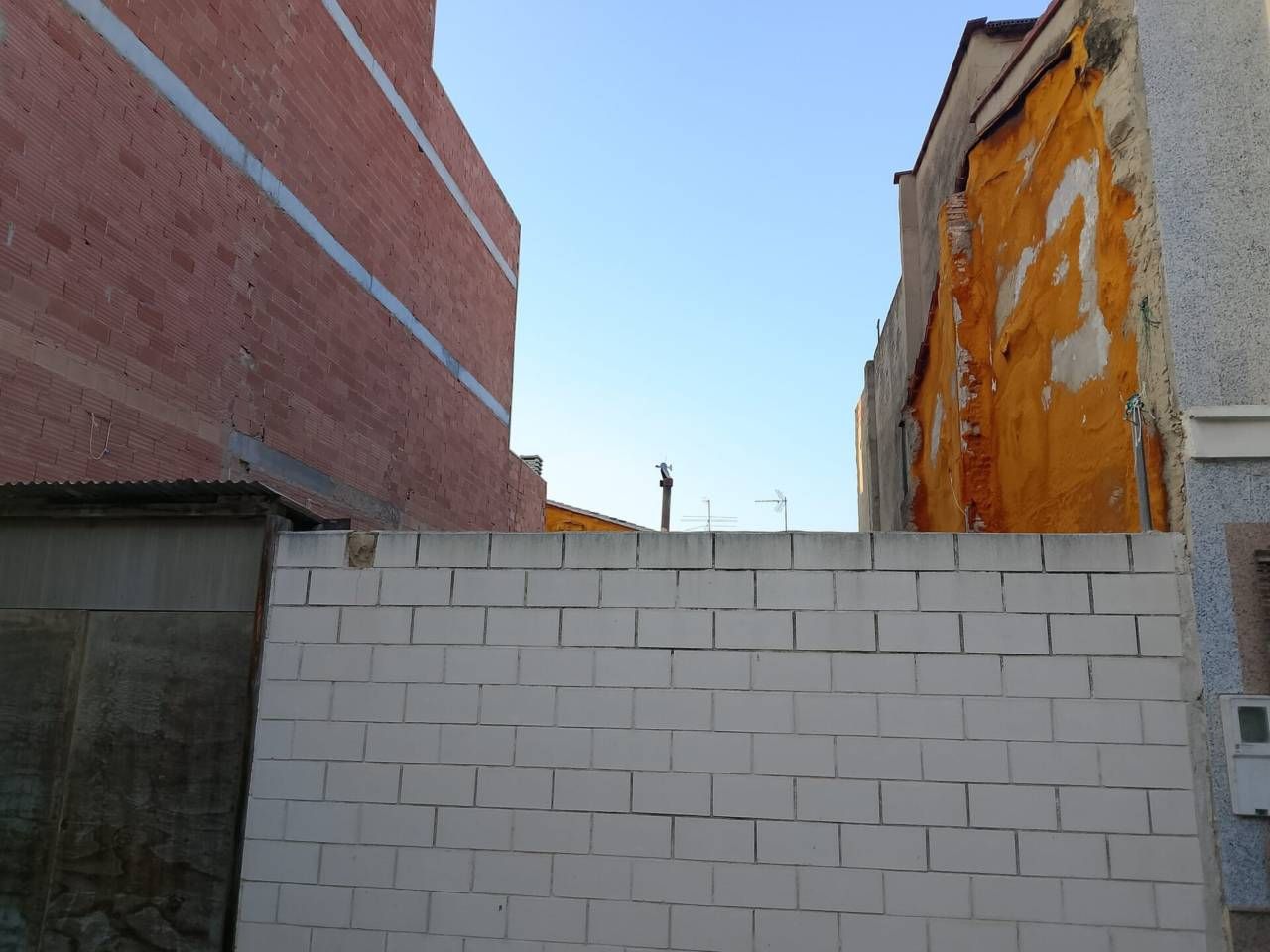 Exterior view of Industrial land for sale in Benirredrà