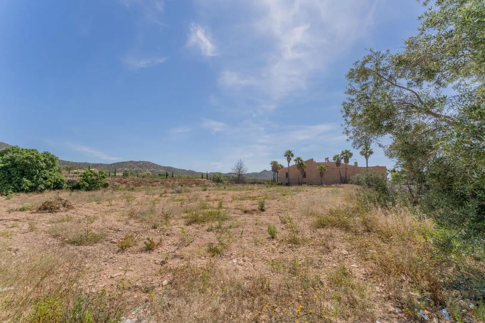 Casa o chalet en venta en Aspe