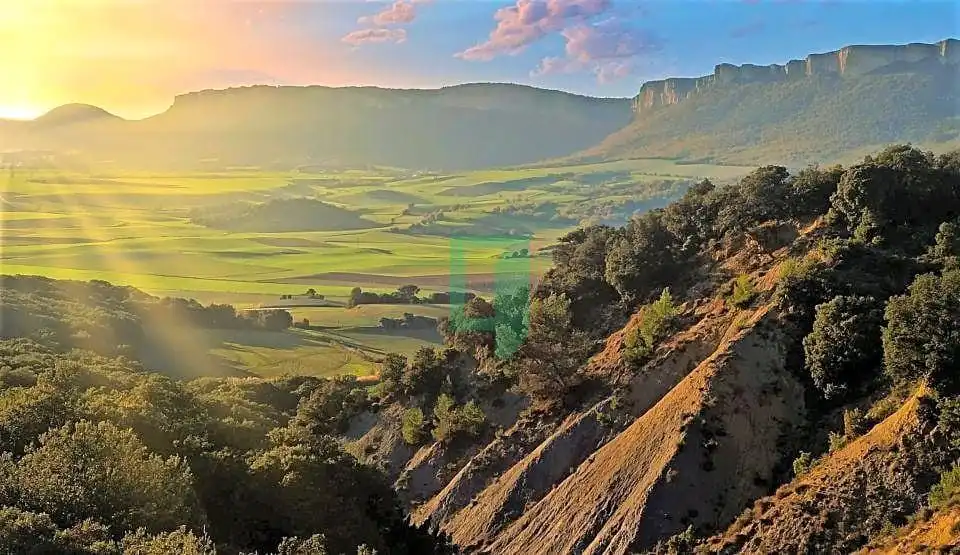 Vista exterior de Casa o chalet en venta en Ayegui / Aiegi con Jardín privado